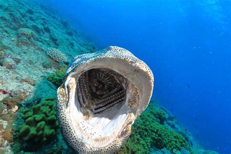 Alize (Noumea) - 2022 What to Know Before You Go (with Photos ...