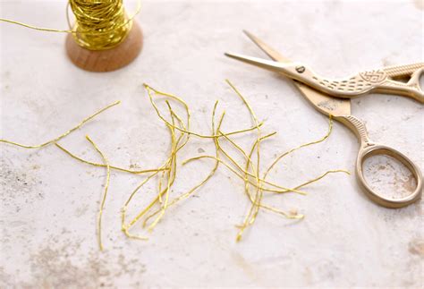 Antennas On Butterflies