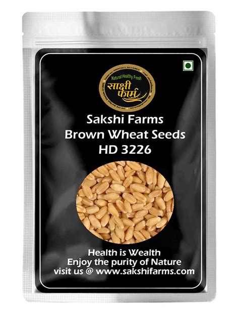 Sakshi Farms Brown Wheat Seeds | HD 3226 for Sowing, Farming ...