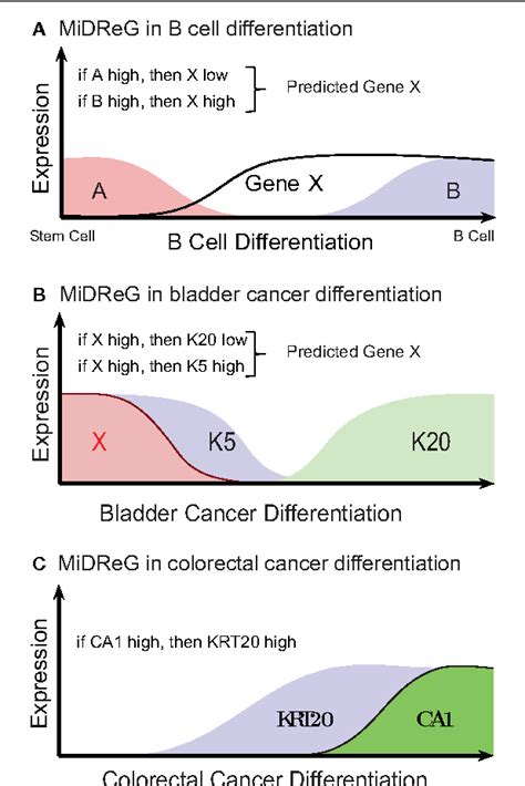 Image result for Boolean Implication
