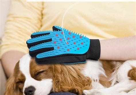 Problem-Solving Products You'll Want For Your House