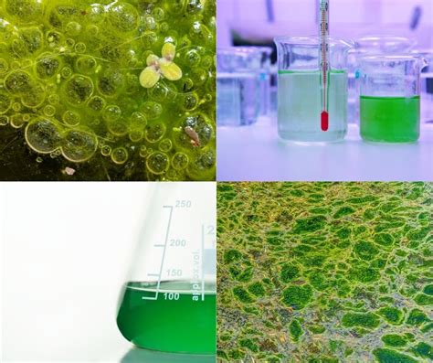 Microbiology 的图像结果