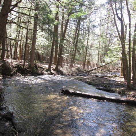 LIME HOLLOW NATURE CENTER - All You Need to Know BEFORE You Go 2026 ...