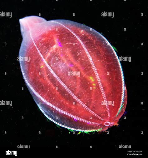 Image result for Azure DevOps Quick Tutorial for Project Management