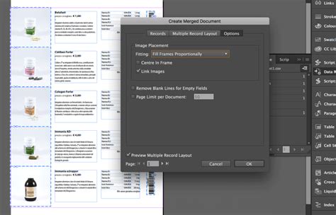 Image result for Mail Merge in InDesign