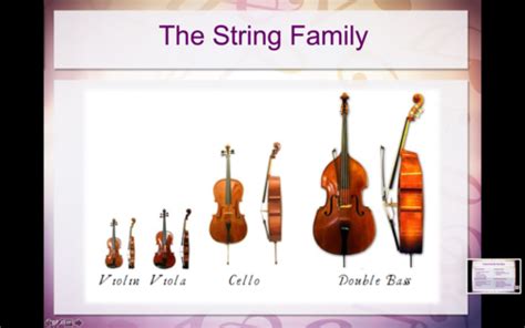 Image result for Orchestra Sections