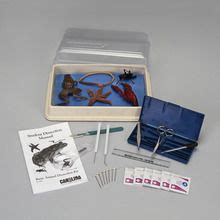 Cockroach Dissection Kit 的图像结果