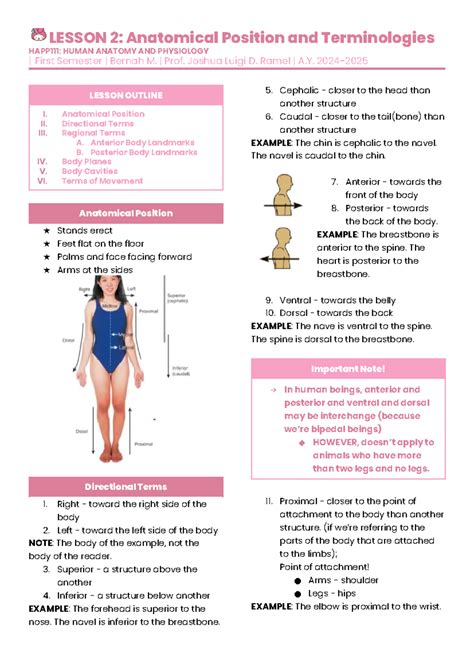 Image result for Contralateral Anatomical Position