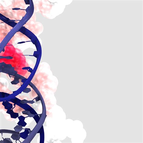 Biology HD Images 的图像结果