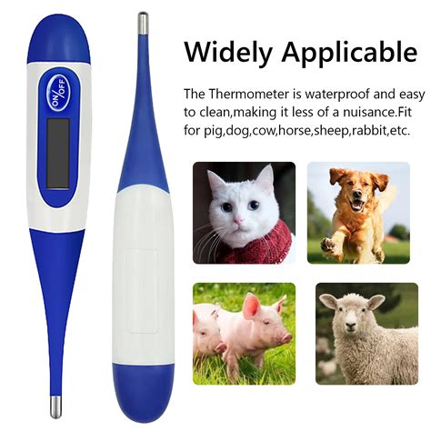 Animal-Thermometer-Digital-LED-Display-Thermometer-Accurate-Waterproof ...