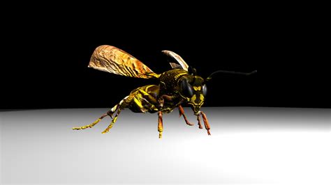 Image result for Wasp 3D Tutorial