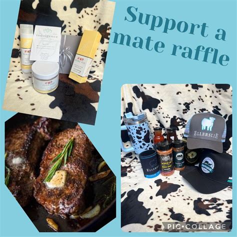 Ellerslie Cattle Cos Fundraising Raffle, Singleton Showground (Northern ...