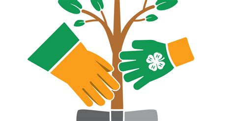 Plant a tree, help the planet: Illinois 4-H tackles global issues ...