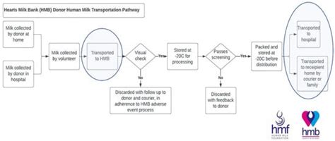 Sustainability | Special Issue : New Multidisciplinary Approaches for ...