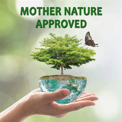 Buy Fruit Fly & Drain Fly Killer Formulation- Simple & Safe Drain Gel ...