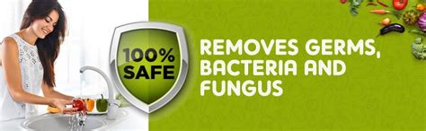 Dabur Veggie wash | Fruits and Vegetables washing Liquid | Removes ...