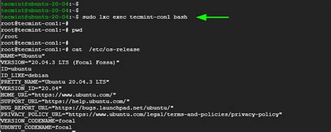 Image result for LXC Container Tutorial