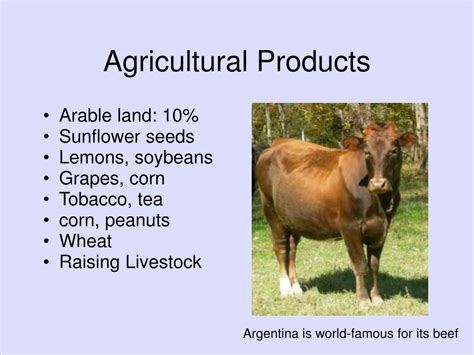 Argentina Agriculture 的图像结果