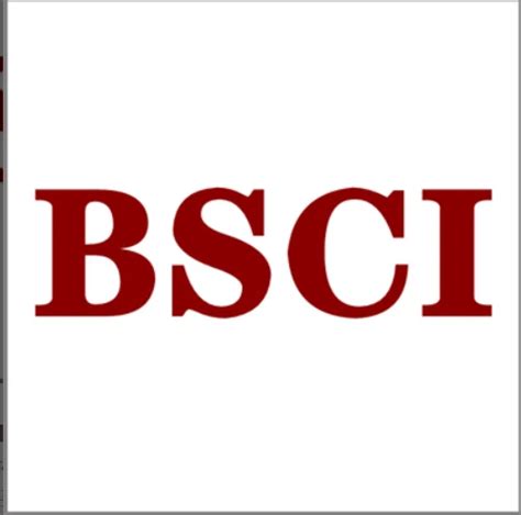 专业bsci验厂机构,bsci是哪个国家的认证,速讯咨询深圳BSCI认证机构 - 工厂审核认证流程·周期·费用