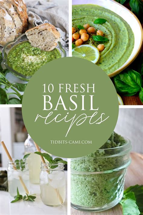 10 Brilliant Fresh Basil Recipes for Pesto Lovers