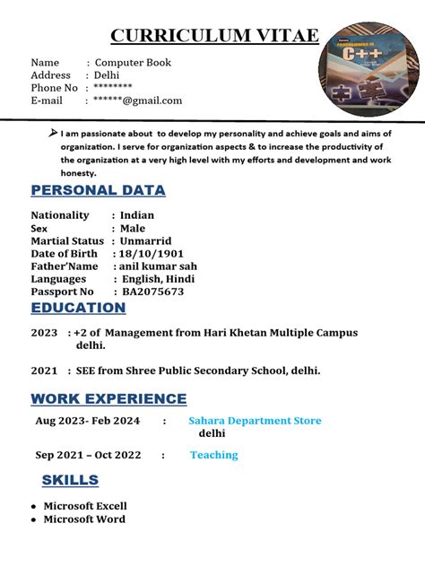 Image result for CV Sample PDF