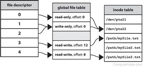 File Descriptor Linux 的图像结果