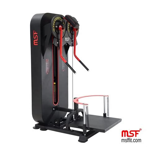 Side Lift with Machine 的图像结果