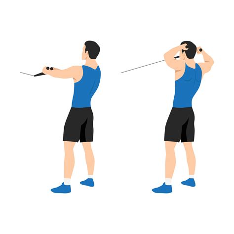 Man doing standing rope face pull. Cable face pull exercise back view ...