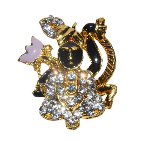 REAL SEED Shrinath Ji - Krishna Ji - Vishnu Ji Gold Plated Religious ...