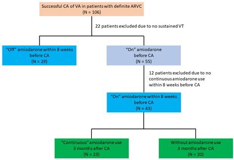 Impact of Amiodarone Therapy on the Ablation Outcome of Ventricular Tachycardia in ...