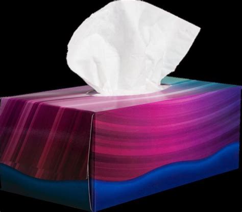 Tissue Paper Box Exporter, Supplier from Gandhinagar