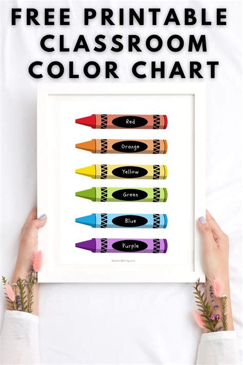 Image result for Classroom Color Chart