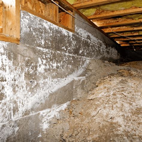 Preventing Condensation Damage to Under-Home Insulation