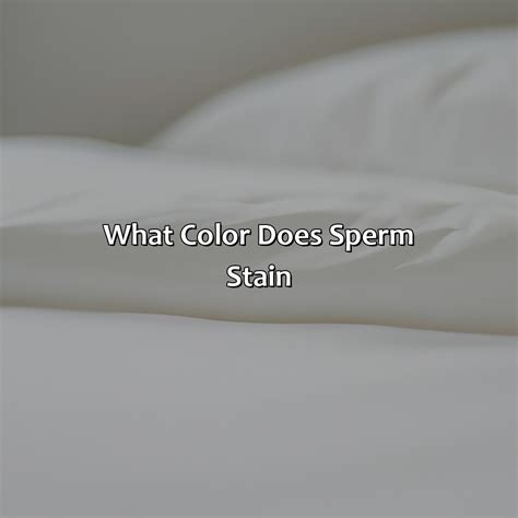 What Color Represents Freedom - colorscombo.com