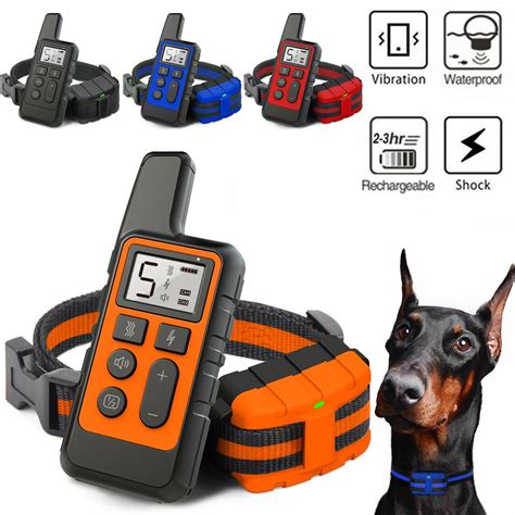 Best Dog Shock Collars Canada at Callum Coombes blog