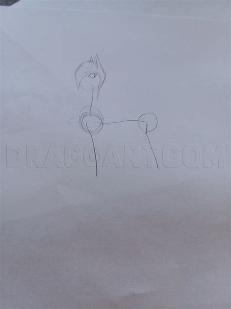 Image result for wolves drawing tutorial