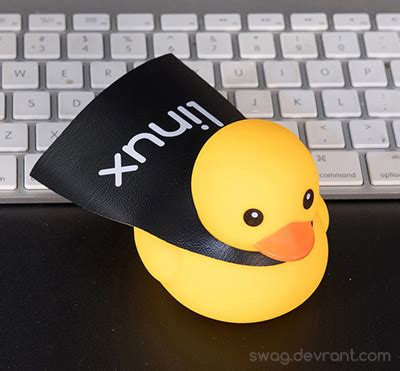 Image result for Debugging Duck Python