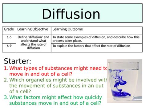 Image result for Diffusion GCSE Science