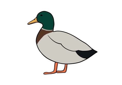How to Draw a Duck | Design School