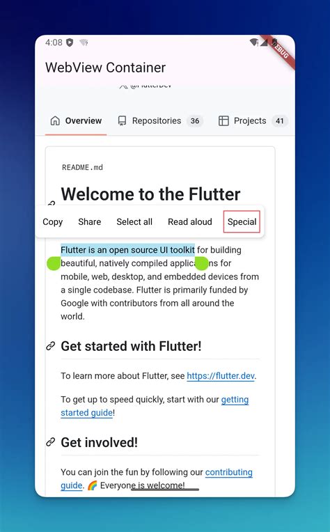 Image result for Add Inappwebview to Flutter
