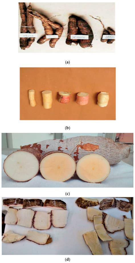 Cassava Root Supplement