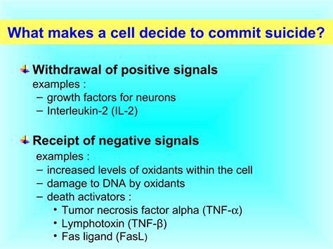 Image result for Cell Death Programed