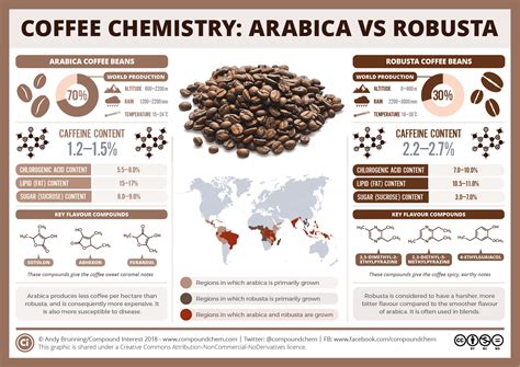 Arabica Robusta Coffee Beans: What Are The Differences? –, 44% OFF