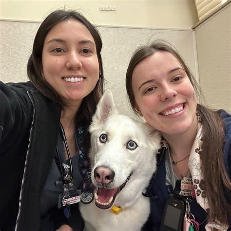 Upstate Veterinary Specialties (@upstateveterinaryspecialties ...