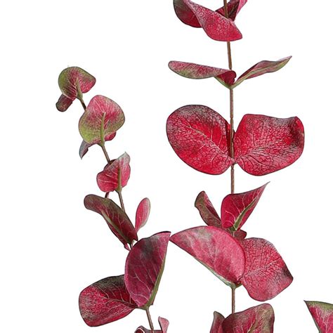 Buy Faux Realistic Eucalyptus Stick (Red) - Set Of Three Online in ...