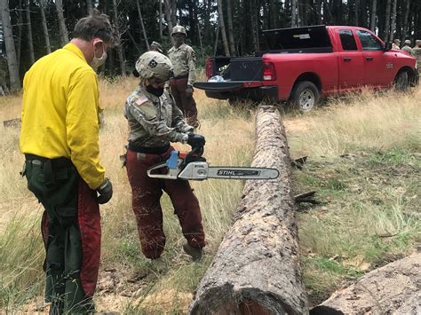 Army units learn wildland firefighting on JBLM | Article | The United ...