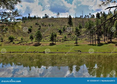 Black Canyon Lake, Navajo County, Arizona, United States, Apache ...