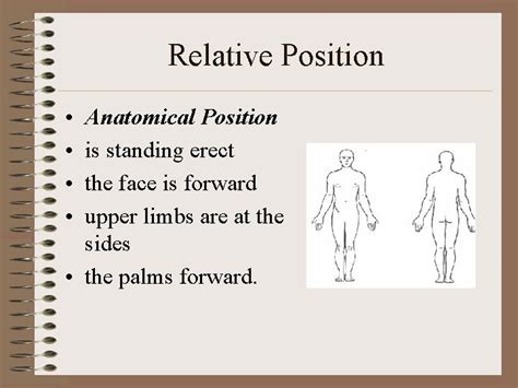 Image result for Relative Position Question