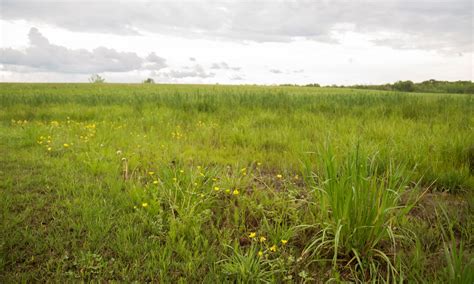 UTIA Receives $30 Million Grant to Empower Grassland Farmers in Climate ...