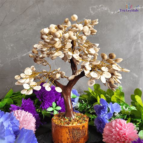 Gomati Chakra Tree for Wealth – Trucrystals.in